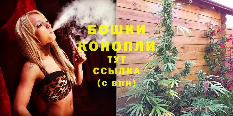 где найти   Добрянка  Шишки марихуана THC 21% 